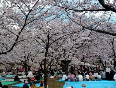 Sakura and Sanada-sama